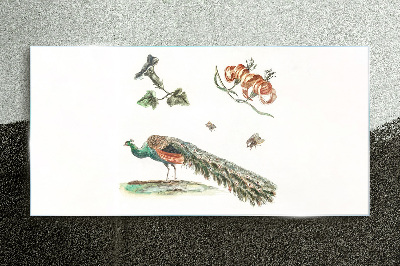 Tableau imprimé sur verre Paon parmi les fleurs et les insectes