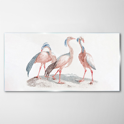 Tableau en verre Trois flamants roses sur fond blanc