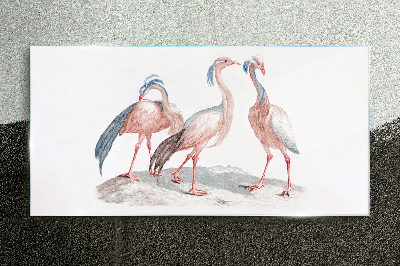 Tableau en verre Trois flamants roses sur fond blanc