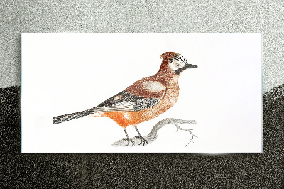 Tableau verre imprimé Hirondelle sur une branche