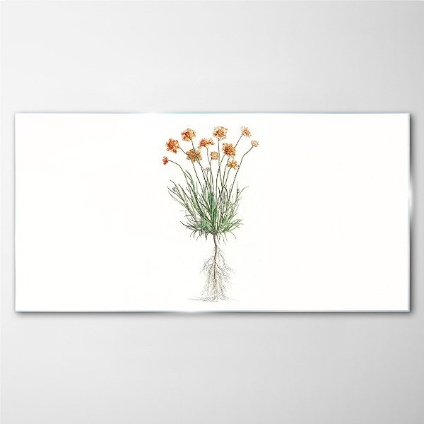 Tableau verre imprimé Fleurs avec racines
