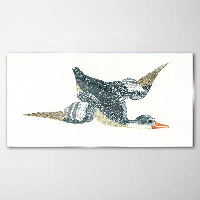 Tableau photo sur verre Canard volant aux tons pastel