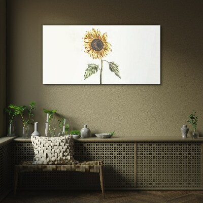 Tableau verre imprimé Fleur de tournesol sur fond blanc