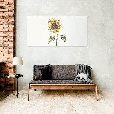 Tableau verre imprimé Fleur de tournesol sur fond blanc