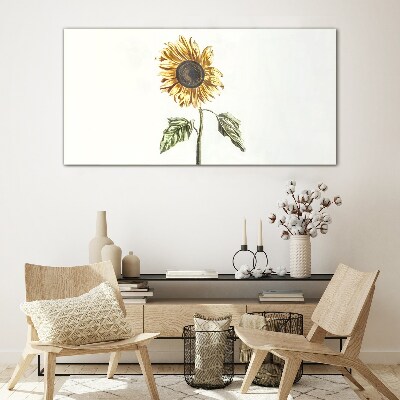 Tableau verre imprimé Fleur de tournesol sur fond blanc