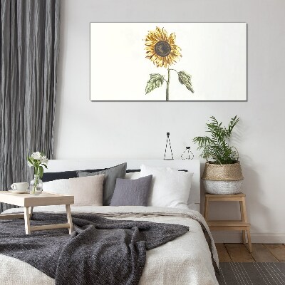 Tableau verre imprimé Fleur de tournesol sur fond blanc