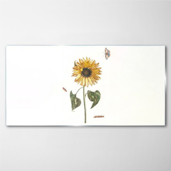 Tableau imprimé sur verre Tournesol dans une composition délicate