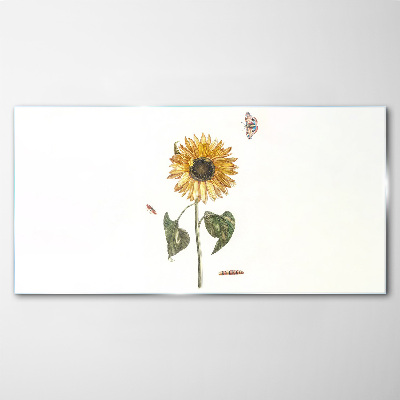 Tableau imprimé sur verre Tournesol dans une composition délicate