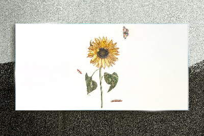 Tableau imprimé sur verre Tournesol dans une composition délicate