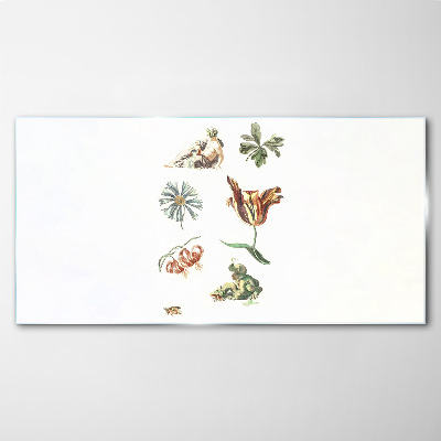 Tableau photo sur verre Inspirations florales aux couleurs délicates