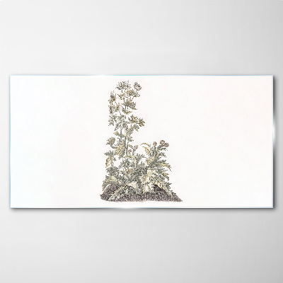Tableau sur verre Plantes dans une lumière douce