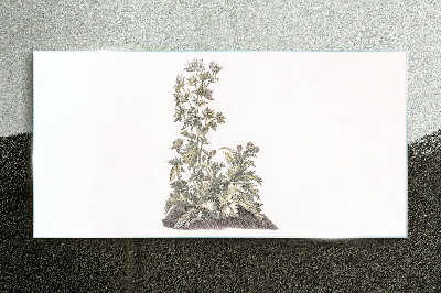 Tableau sur verre Plantes dans une lumière douce