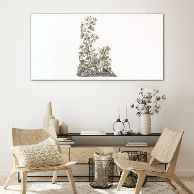 Tableau sur verre Plantes dans une lumière douce