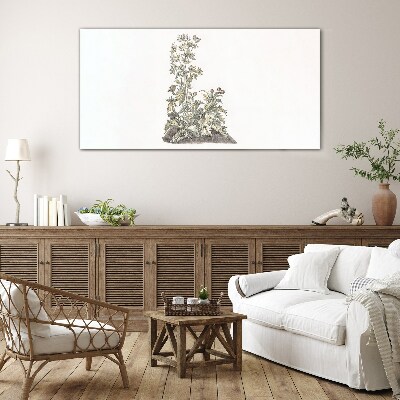 Tableau sur verre Plantes dans une lumière douce