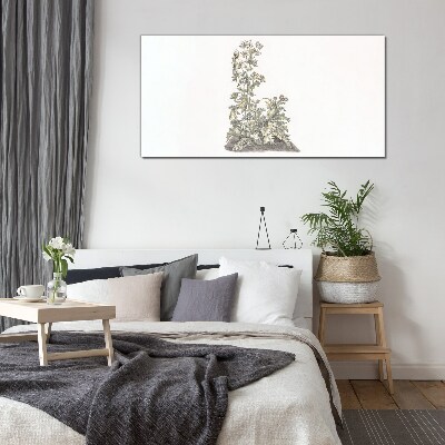 Tableau sur verre Plantes dans une lumière douce