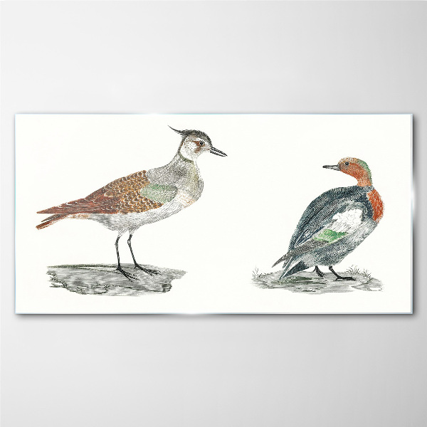 Tableau en verre Oiseaux aux couleurs de la nature
