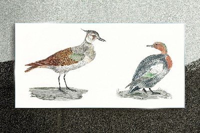 Tableau en verre Oiseaux aux couleurs de la nature