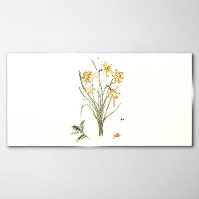 Tableau sur verre Fleurs de jonquille avec un motif naturel