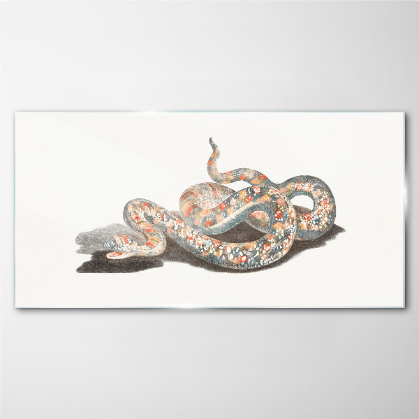 Tableau verre imprimé Motif serpent avec des détails colorés