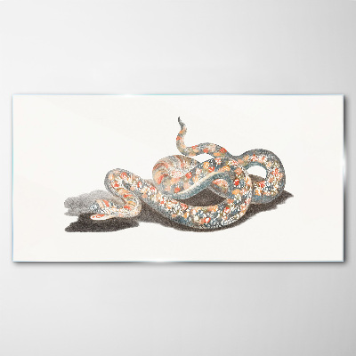 Tableau verre imprimé Motif serpent avec des détails colorés