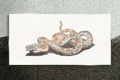 Tableau verre imprimé Motif serpent avec des détails colorés