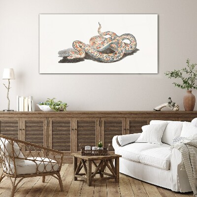 Tableau verre imprimé Motif serpent avec des détails colorés