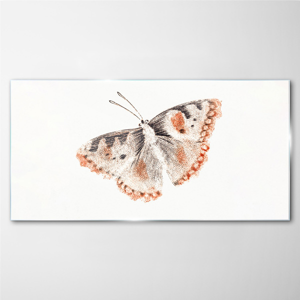 Tableau photo sur verre Papillon sur fond blanc