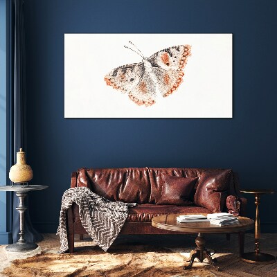 Tableau photo sur verre Papillon sur fond blanc