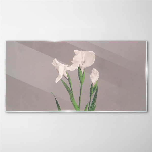 Tableau verre imprimé Fleurs sur fond gris