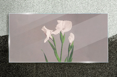 Tableau verre imprimé Fleurs sur fond gris