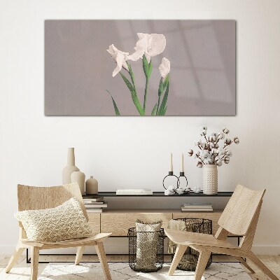 Tableau verre imprimé Fleurs sur fond gris