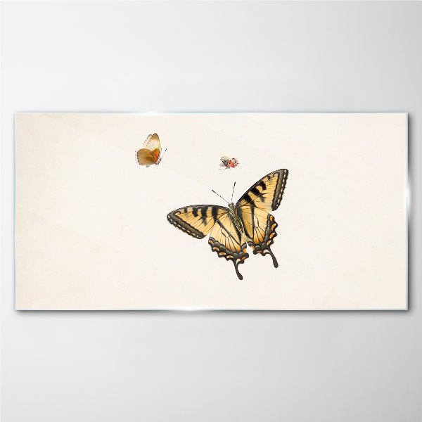 Tableau sur verre Papillons en délicate harmonie
