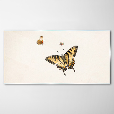 Tableau sur verre Papillons en délicate harmonie