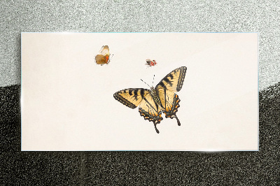 Tableau sur verre Papillons en délicate harmonie