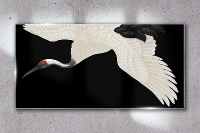 Tableau verre imprimé L'élégance de la silhouette de la grue blanche