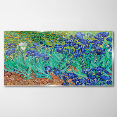 Tableau verre imprimé Iris en fleurs