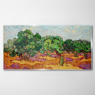 Tableau sur verre Olives au soleil