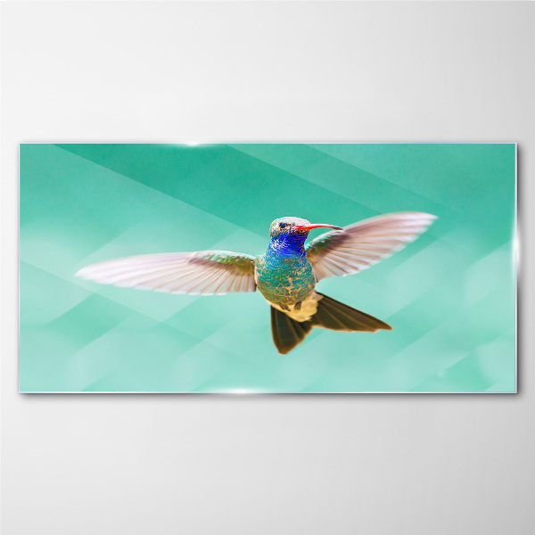 Tableau photo sur verre Colibri sur fond bleu