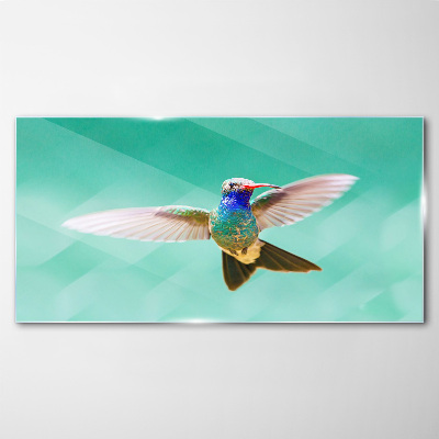 Tableau photo sur verre Colibri sur fond bleu