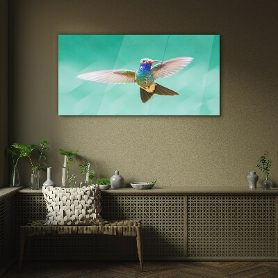Tableau photo sur verre Colibri sur fond bleu