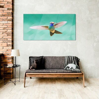 Tableau photo sur verre Colibri sur fond bleu