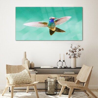 Tableau photo sur verre Colibri sur fond bleu