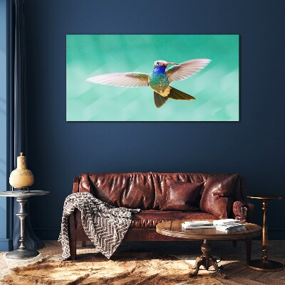 Tableau photo sur verre Colibri sur fond bleu