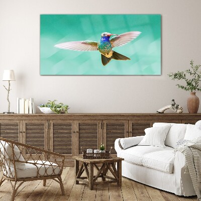 Tableau photo sur verre Colibri sur fond bleu