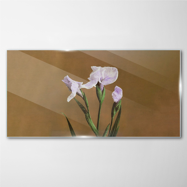Tableau sur verre Fleurs d'iris sur fond marron