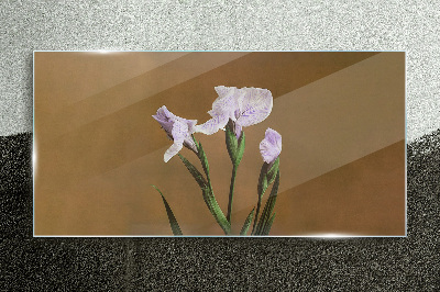 Tableau sur verre Fleurs d'iris sur fond marron