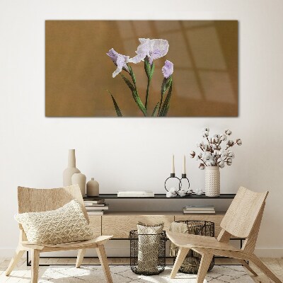 Tableau sur verre Fleurs d'iris sur fond marron