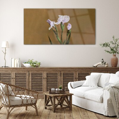 Tableau sur verre Fleurs d'iris sur fond marron