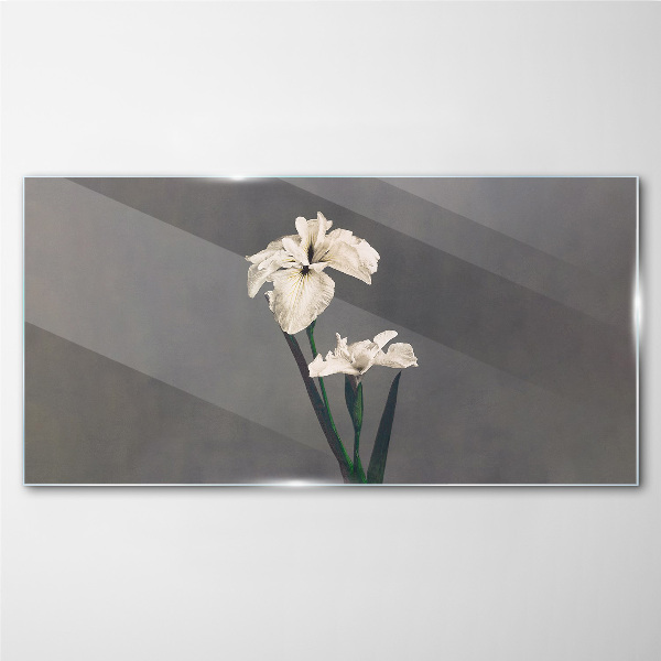 Tableau verre imprimé Iris blancs sur fond gris