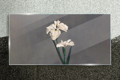 Tableau verre imprimé Iris blancs sur fond gris